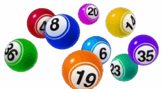 Bandar Togel Diangkat Menjadi Fokus Penelitian Sosial Perkotaan